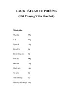 LAO KHÁI CAO TƯ PHƯƠNG (Hải Thượng Y tôn tâm lĩnh) docx