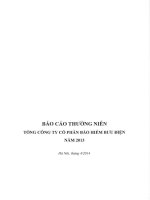 báo cáo thường niên tổng công ty cổ phần bảo hiểm bưu điện năm 2013