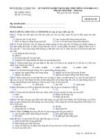 KỲ THI TỐT NGHIỆP TRUNG HỌC PHỔ THÔNG NĂM 2008 Môn thi: SINH HỌC, mã đề 104 docx