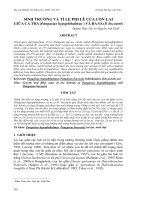 Báo cáo nghiên cứu khoa học: 