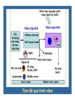 Bài giảng bệnh học viêm part 3 ppsx