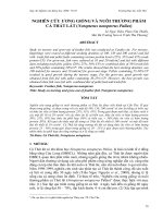 Báo cáo nghiên cứu khoa học: 