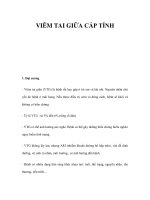 VIÊM TAI GIỮA CẤP TÍNH docx