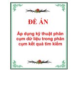 Áp dụng kỹ thuật phân cụm dữ liệu trong phân cụm kết quả tìm kiếm docx