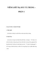 VIÊM LOÉT DẠ DÀY TÁ TRÀNG – PHẦN 1 pps