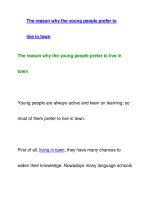 The reason why the young people prefer tolive in town pptx