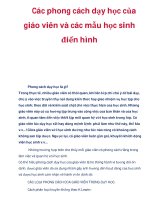Các phong cách dạy học của giáo viên và các mẫu học sinh điển hình potx