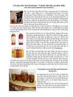 Trà nấm Thủy Sâm Kombucha ppsx