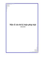 Một số câu hỏi lý luận pháp luật ppsx