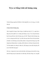 Trị u xơ bằng trinh nữ hoàng cung docx