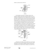 SAT II Biology Episode 2 Part 1 pdf