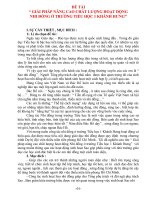 giải pháp nâng cao chất lượng hoạt động nhi đồng ở trường tiểu học 1 khánh hưng