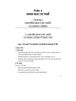 Thiết kế bài giảng sinh học 11 tập 1 part 1 pot