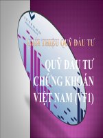 GIỚI THIỆU QUỸ ĐẦU TƯ CHỨNG KHOÁN VIỆT NAM (VFF1) potx