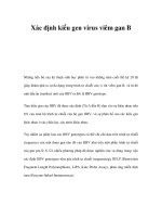 Xác định kiểu gen virus viêm gan B doc