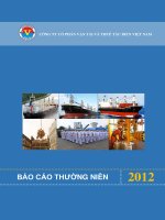 CÔNG TY cổ PHẦN vận tải và THUÊ tàu BIỂN VIỆT NAM báo cáo thường niên 2012
