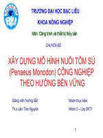 XÂY DỰNG MÔ HÌNH NUÔI TÔM SÚ (Penaeus Monodon) CÔNG NGHIỆP THEO HƯỚNG BỀN VỮNG pdf