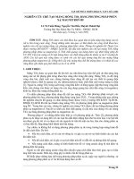 Báo cáo nghiên cứu khoa học: 