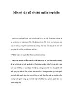 Một số vấn đề về chủ nghĩa hợp hiến pdf