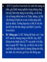 Bệnh học thủy sản : KHÁI NIỆM VỀ BỆNH KÝ SINH TRÙNG part 2 doc