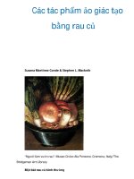 Các tác phẩm ảo giác tạo bằng rau củ docx