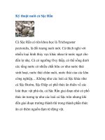 Kỹ thuật nuôi cá Sặc Rằn docx