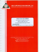 Báo cáo tài chính công ty cổ phần vận tải và thuê tàu biển việt nam cho năm tài chính kết thúc ngày 31 tháng 12 năm 2011