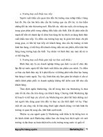 Giáo trình hướng dẫn cơ bản về đường lối đổi mới kinh tế mở cửa phần 2 potx