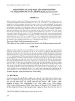 Báo cáo nghiên cứu khoa học: 