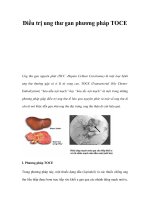 Điều trị ung thư gan phương pháp TOCE ppt
