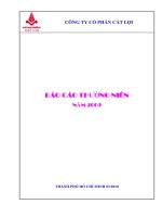 báo cáo THƯỜNG NIÊN năm 2009 CÔNG TY cổ PHẦN cát lợi