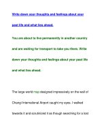 Write down your thoughts and feelings about yourpast pps