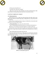 Giáo trình nghiên cứu phân tích ứng dụng chẩn đoán lâm sàn thú y p5 pdf