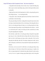 Thúc đẩy đầu tư phát triển hạ tầng giao thông nông thôn Việt Nam - 3 ppsx