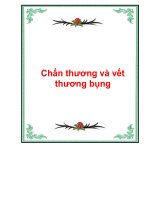 Chấn thương và vết thương bụng ppsx