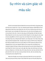 Sự nhìn và cảm giác về màu sắc docx