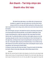 Âm thanh - Tai tiếp nhận âm thanh như thế nào pps