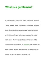 What is a gentleman? ppsx