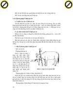 Giáo trình nghiên cứu phân tích ứng dụng chẩn đoán lâm sàn thú y p2 pdf