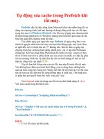 Thủ thuật Windows XP:Tự động xóa cache trong Prefetch khi tắt máy. pdf
