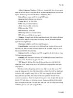 Các giao thức liên quan đến VoIP phần 2 pdf