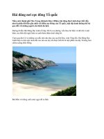 Hải đăng nơi cực đông Tổ quốc pot