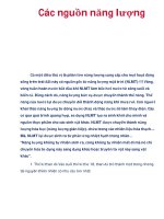 Các nguồn năng lượng pps