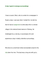 A day I spent in strange surroundings ppsx