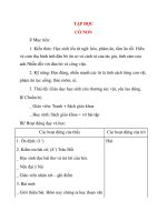 Giáo án lớp 4: TẬP ĐỌC CỎ NON pptx