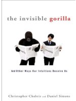 the invisible gorilla and other ways ou   christopher chabris