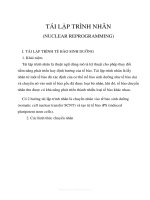 Tái lập trình nhân (NUCLEAR REPROGRAMMING) ppt