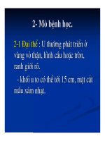 Giải phẫu bênh - Ung thư phổi và ung thư thận part 8 docx