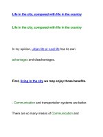 Life in the city pps