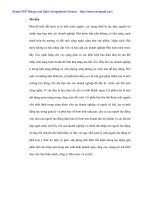 Lí luận và thực tiễn cổ phần hóa doanh nghiệp Nhà nước Việt Nam hiện nay - 1 pps